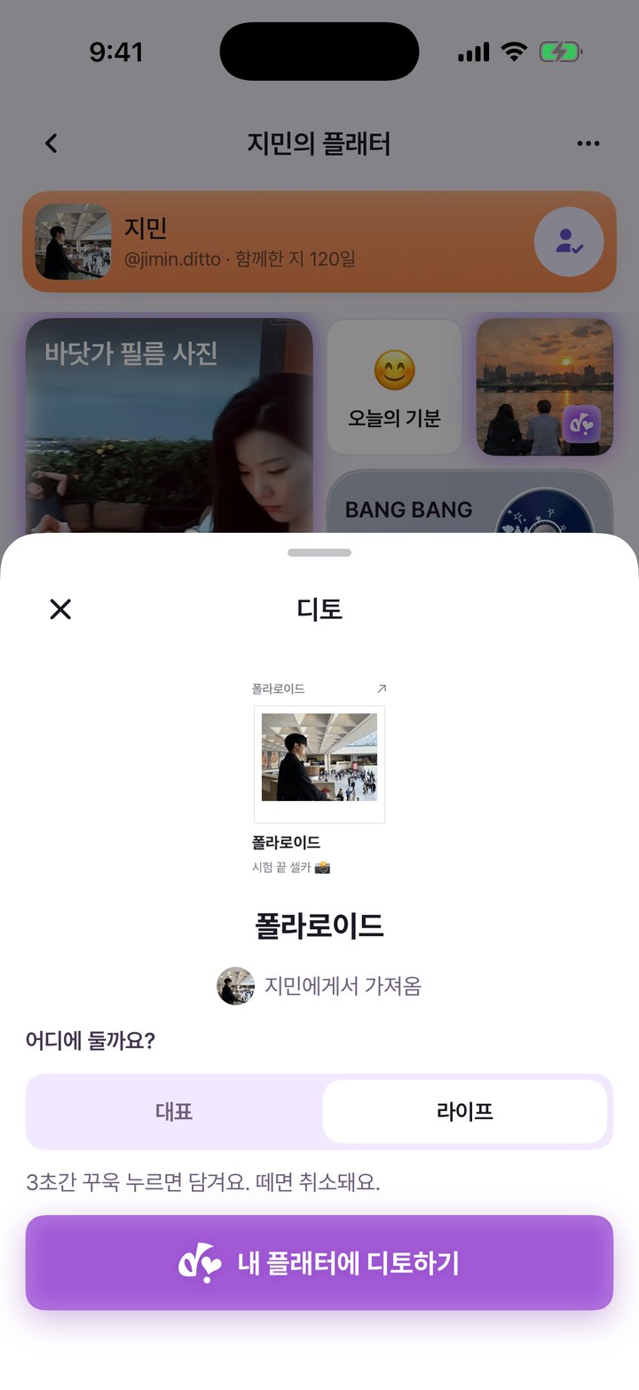 디토 시트 화면, 대표와 라이프 중 고르기